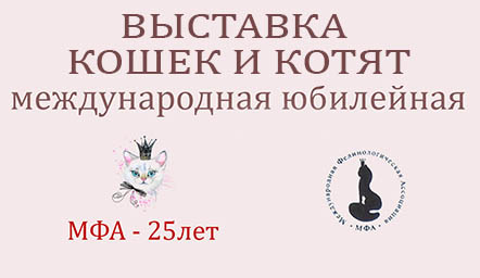 Cat show mini
